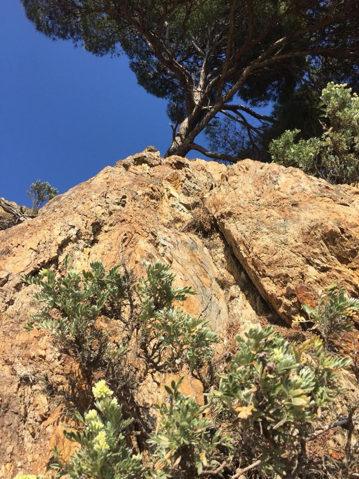 Grand Hotel Moriaz Le Lavandou Dış mekan fotoğraf
